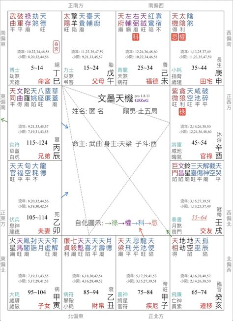 武曲破軍|2025年 乙巳蛇年 「武曲破軍」在流年命宮運勢分析：紫微斗數怎。